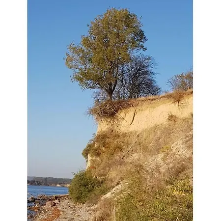 Schipperhus Comfortable *